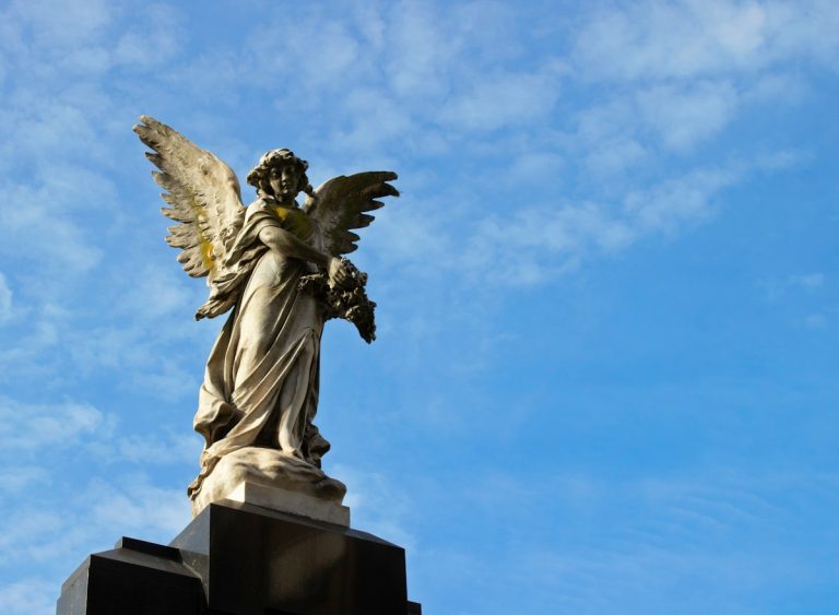 Angel investment platforms